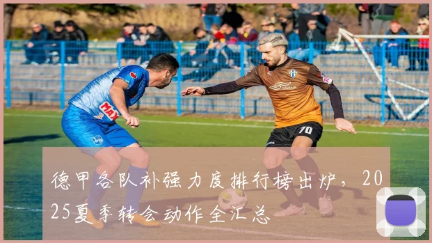德甲各队补强力度排行榜出炉，2025夏季转会动作全汇总