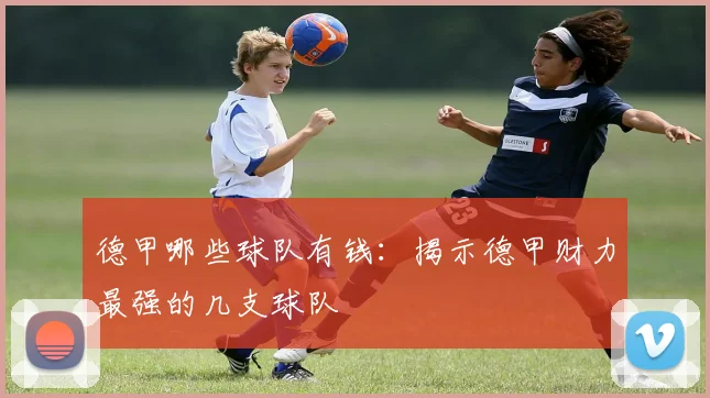 德甲哪些球队有钱：揭示德甲财力最强的几支球队