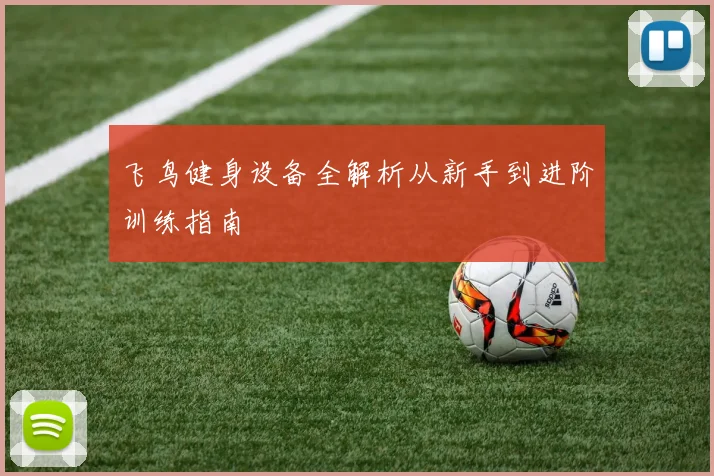飞鸟健身设备全解析从新手到进阶训练指南